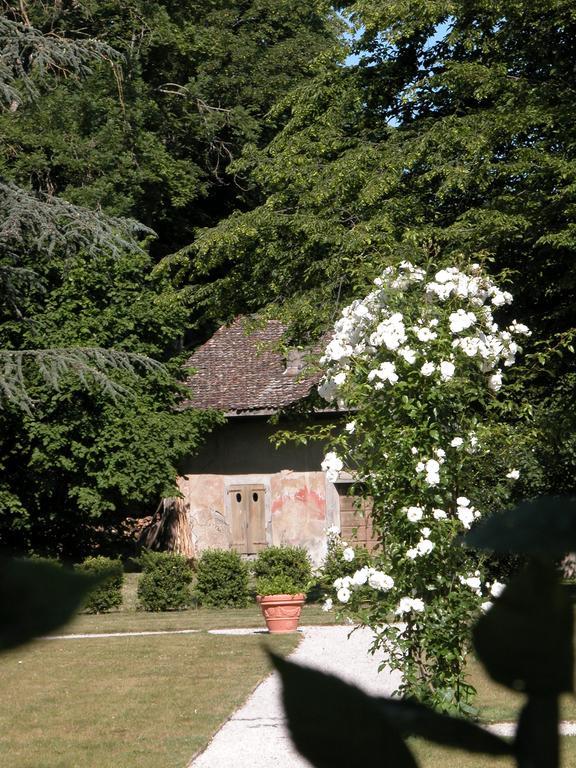 Chateau De Veigy Hotel Zewnętrze zdjęcie